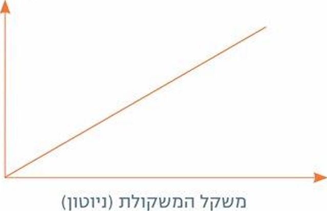 (בספר גרף המתאר את היחס בין משקל המשקולת למידת התארכות הקפיץ)